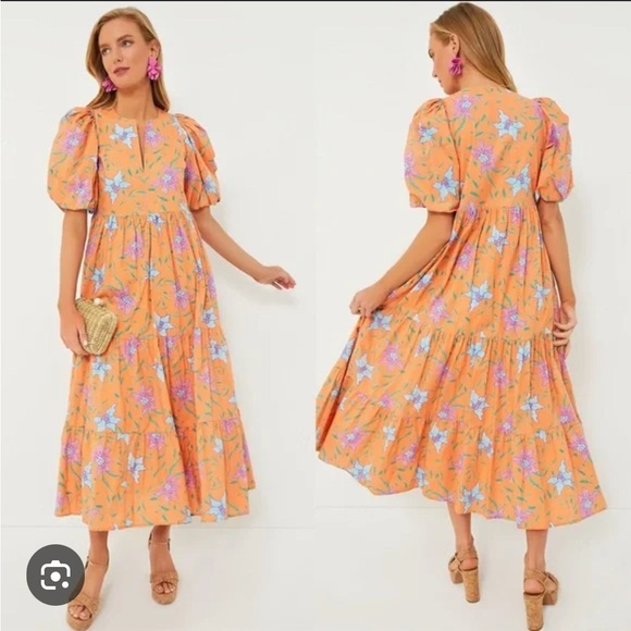 Tuckernuck Dresses & Skirts - NWT Tuckernuck Hyacinth House Orange Multi Floral Cisco Maxi Dress